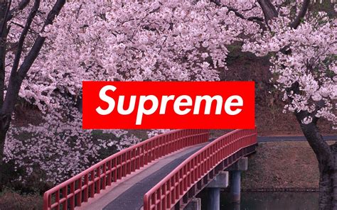 cool supreme wallpapers for pc.